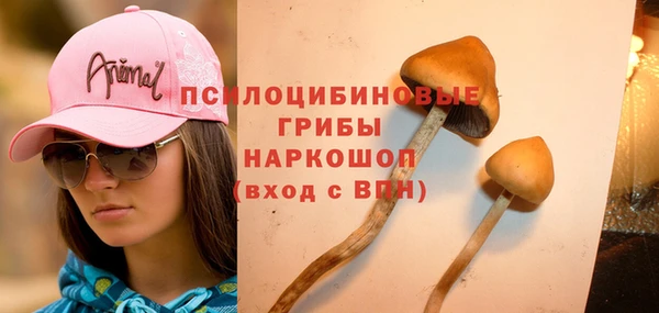 каннабис Корсаков